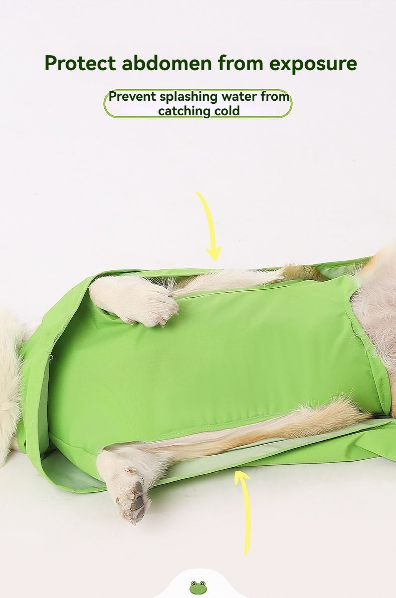 Adorable Frog Design Waterproof Pet Raincoat – Funny & Lightweight Dog Rain Jacket with Hood (Green, Size S)